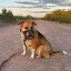 Team Page: Sadie's Fanclub